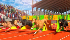 Dog Run 3D