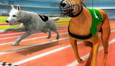 Dogs3D Races