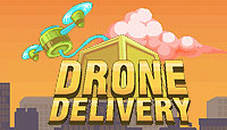 Drone Delivery