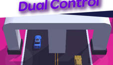 Dual Control 3D