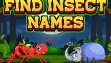 Find Insects Names