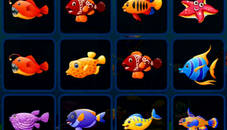 Fish Cards Match