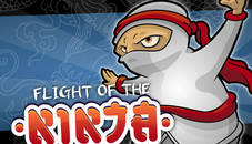 Flight Of The Ninja