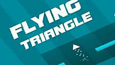 Flying Triangle 2021