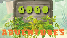 Gogo Adventures 2021