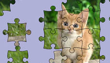 Jigsaw Puzzle: Cute Kittens