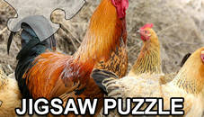 Jigsaw Puzzle Domesticated Animals