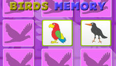 Kids Memory Game - Birds