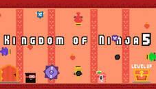 Kingdom of Ninja 5