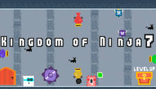 Kingdom of Ninja 7