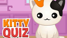 Kitty Quiz