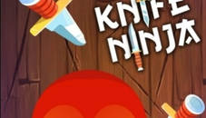 Knife Ninja