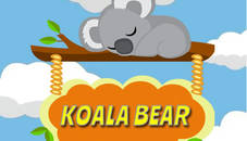 Koala Bear