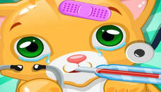 Little Cat Doctor Pet Vet Games