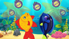 Marine Fish