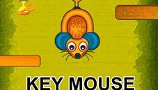 Mouse Key