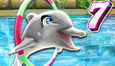 My Dolphin Show 7