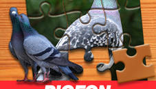 Pigeon Jigsaw Puzzle