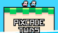 Pixcade Twins