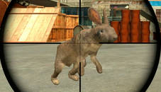 Rabbit Shooter