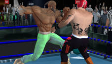 Real Boxing Fighting Game