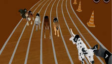 Real Dog Racing Simulator Game 2020