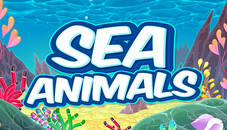 Sea Animals HD