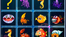 Sea Creatures Cards Match