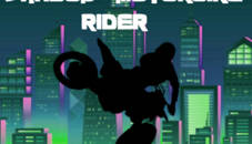 Shadow Motorbike Rider