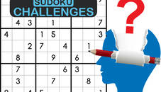 Sudoku Challenges