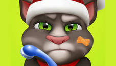 Talking Tom Injfdfury