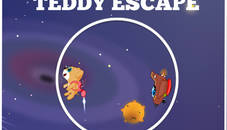 Teddy Escape