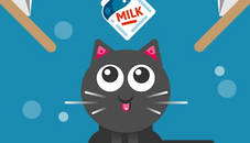 The Cat Drink Milk