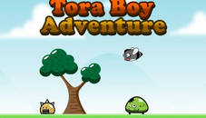 Tora Boy Adventure