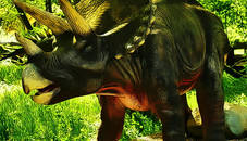 Triceratops Dinosaur Puzzle