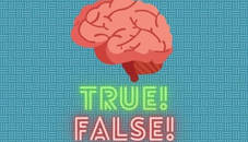 True or false quiz