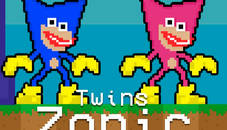 Twins Zonic