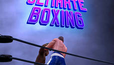 Ultimate Boxing Game