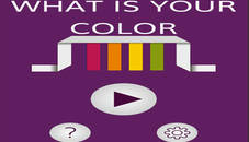 What is your color