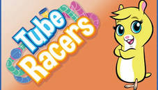 Zhu Zhu Pets Tube Racers